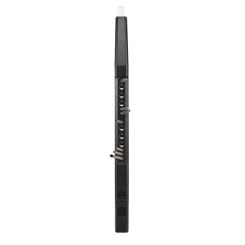 เครื่องดนตรีลมอิเล็กทรอนิกส์,  - Musical Instrument Flute บทวิจารณ์และราคา