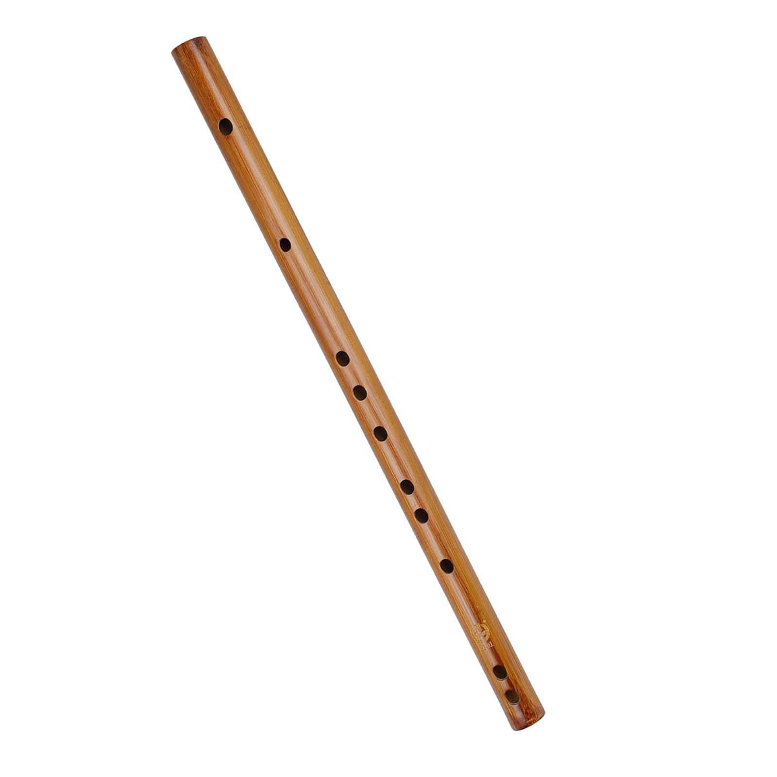 ของขวัญวันเกิดที่ไม่ซ้ำกัน,อิน - Musical Instrument Of India บทวิจารณ์และราคา
