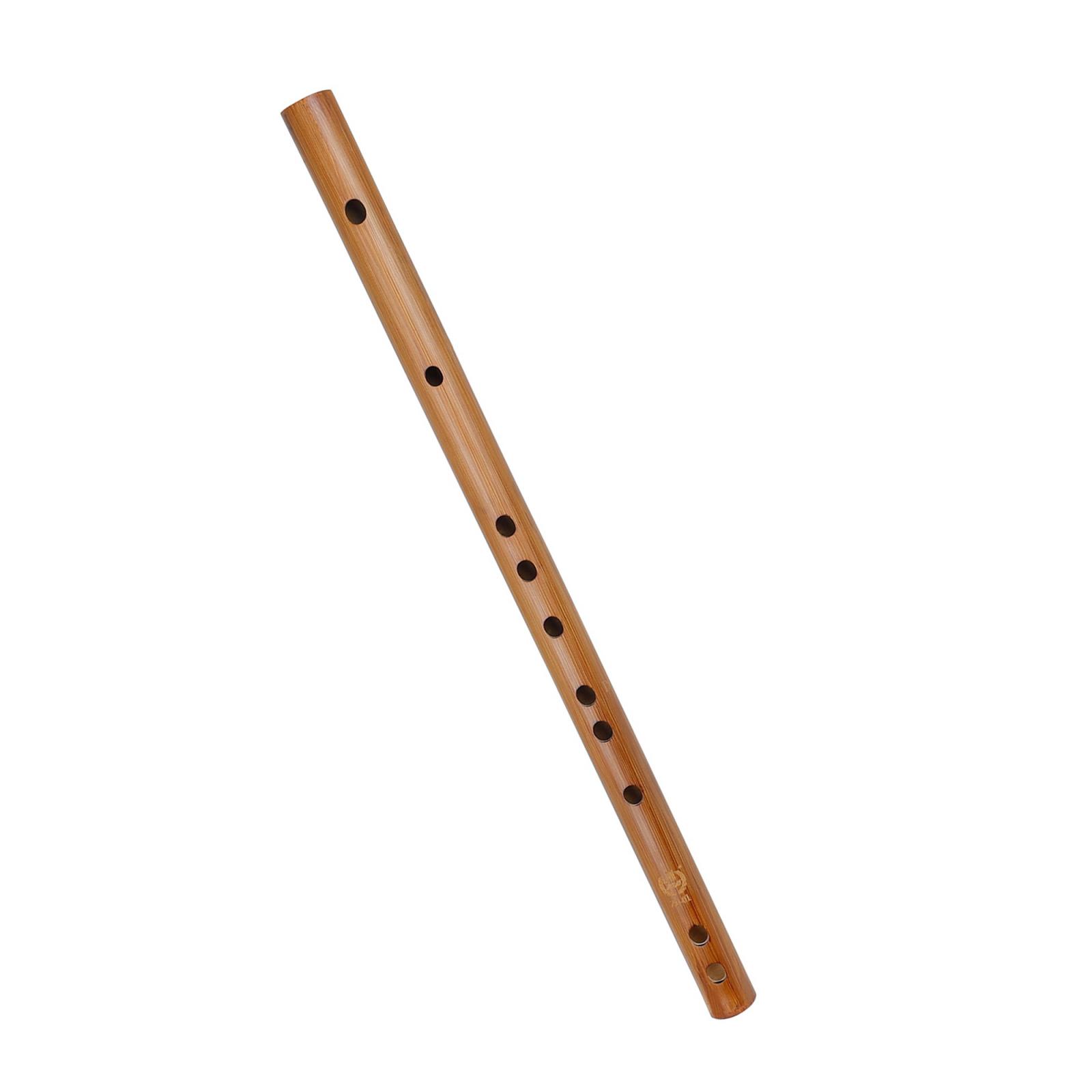 ของขวัญวันเกิดที่ไม่ซ้ำกัน,อิน - Musical Instrument Of India บทวิจารณ์และราคา